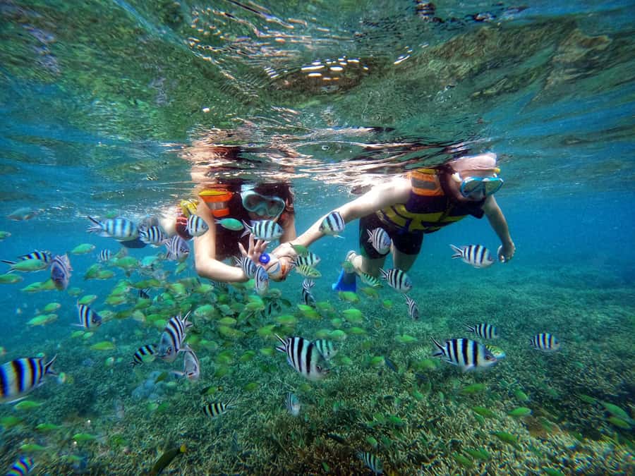 Lombok: Gili Nanggu, Sudak, & Gili Kedis Private Snorkeling - GoPro photos, videos, and optional drone footage