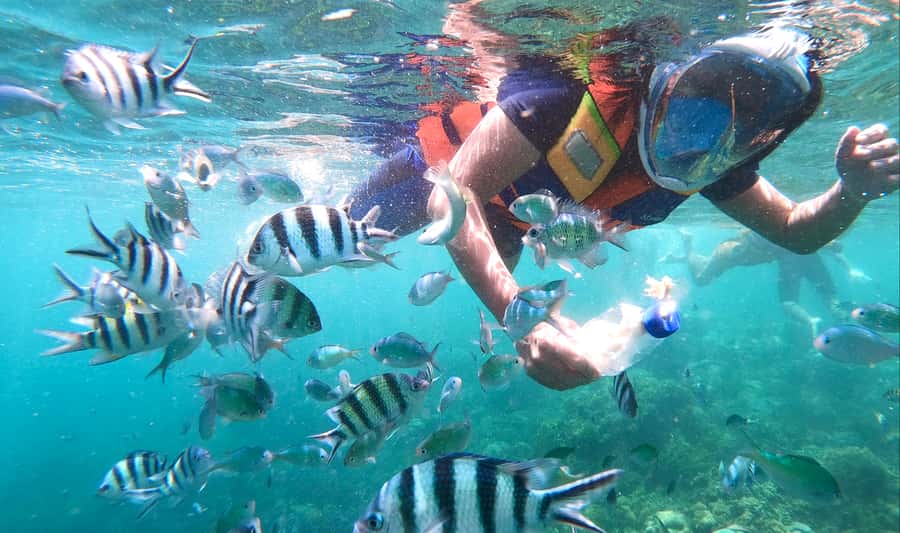 Lombok: Gili Nanggu, Sudak, & Gili Kedis Private Snorkeling - The early road from your hotel to the harbor