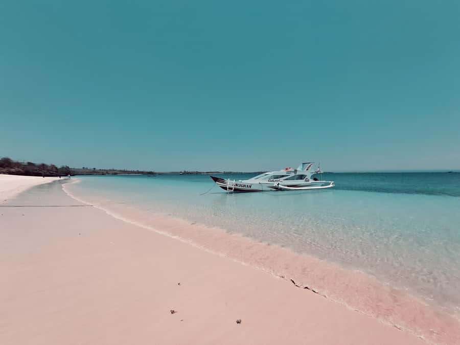 Lombok: Pink Beach, Snorkeling, & Tanjung Ringgit Tour - Lunch at Pink Beach 1