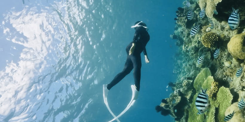 Lombok:Privat Snorkeling Gili Nanggu,Gili Sudak,Gili Kedis. - Gili Nanggu: the main snorkeling reward
