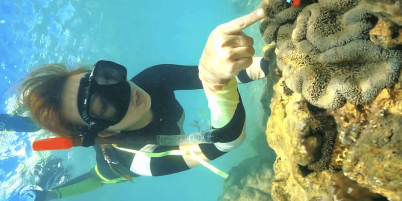 Lombok:Privat Snorkeling Gili Nanggu,Gili Sudak,Gili Kedis. - What the $64 price actually covers
