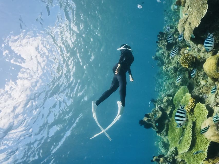 Lombok:Privat Snorkeling Gili Nanggu,Gili Sudak,Gili Kedis. - Who should book this tour?