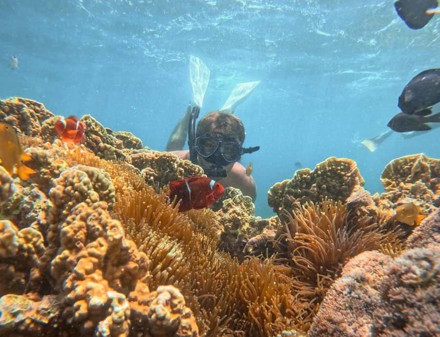Lombok: Private Pink Beach & Gili Snorkeling Tour with GoPro - Why this private boat day works well