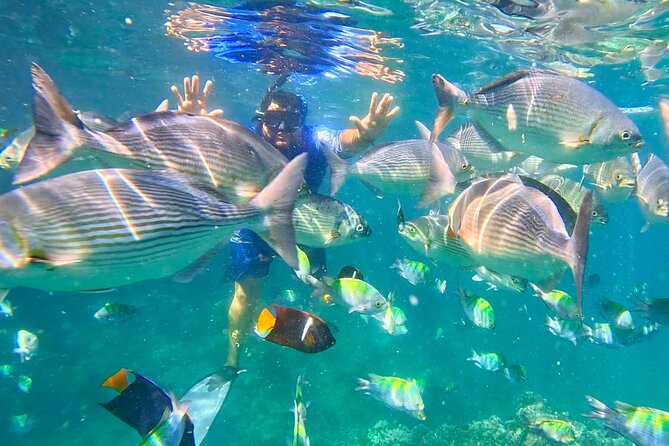 Los Arcos 5 islands Snorkeling Cliff Jumping and Hidden Beach - What the three-hour Los Arcos trip is really like