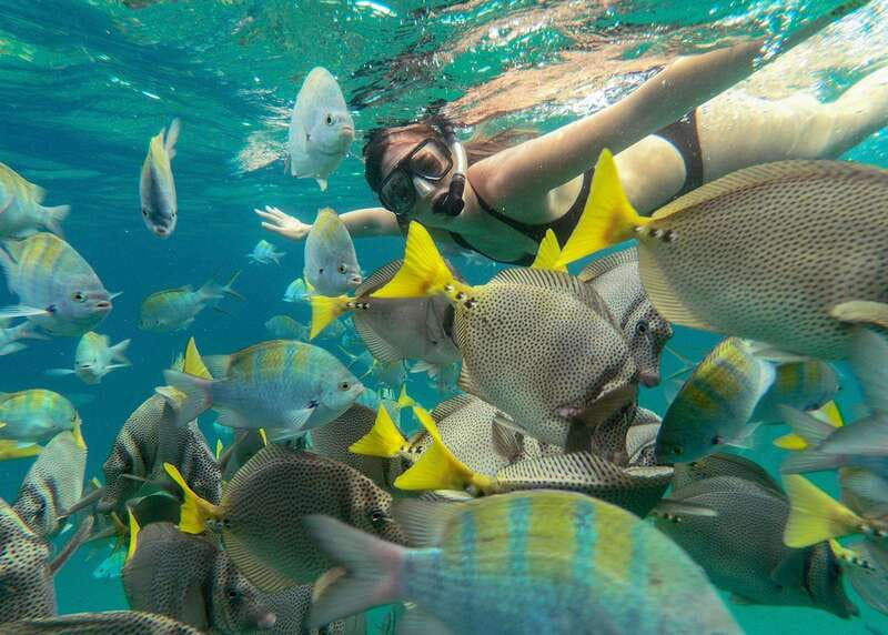Los Cabos Arch & Lover’s Beach Tour + Snorkeling Tour - Returning to the marina, or staying at the beach