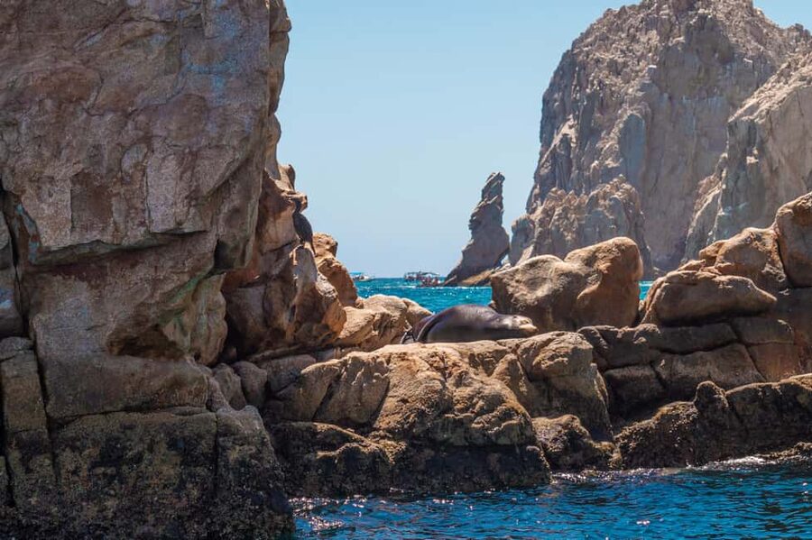 los cabos arch tour & drinks +snorkel tour - The Arch and the classic Cabo photograph