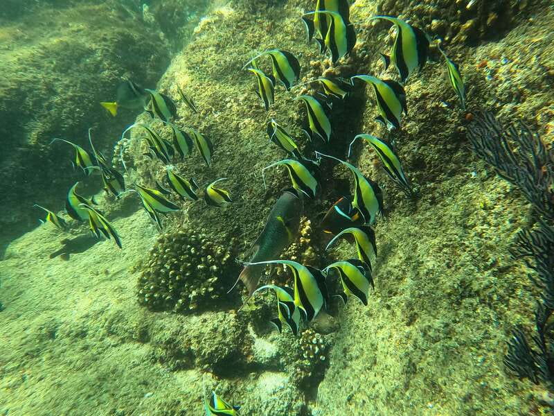 Los Cabos: Kayak to The Arch & Snorkel + Transport & Photos - Lovers Beach and the Pacific side at Divorce Beach