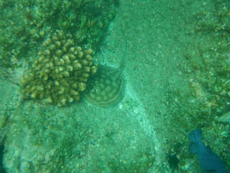Los Cabos: Kayaking and Snorkeling in Two Pristine Bays - The second snorkeling stop