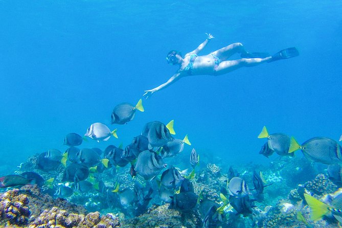 Los Cabos Power snorkel Adventure, Kayaking and Stand-Up Paddle - The guides make a real difference