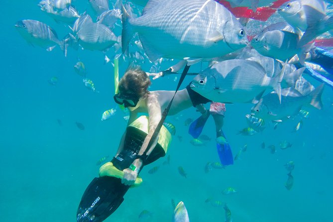 Los Cabos Power snorkel Adventure, Kayaking and Stand-Up Paddle - What the $99 price really includes