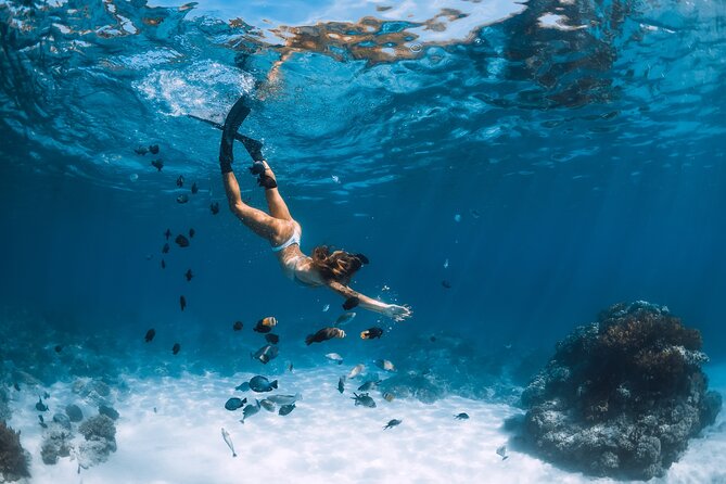 Los Cabos Power snorkel Adventure, Kayaking and Stand-Up Paddle - El Arco and the coast before the water activities