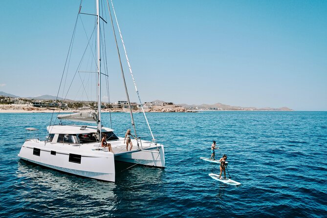 Los Cabos Seasonal Whale Watch and Snorkel Tour - Key points to know before booking