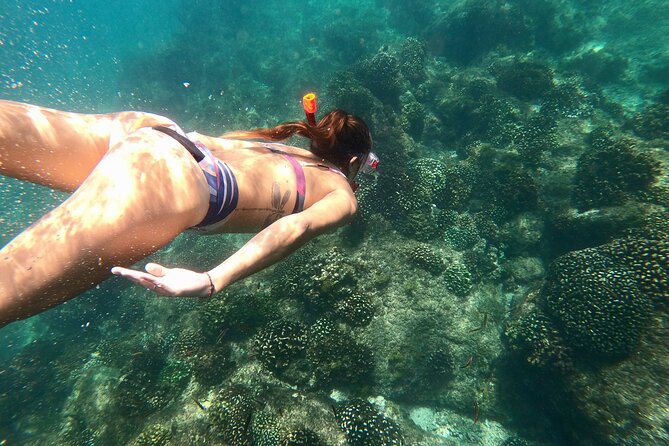 Los Cabos Seasonal Whale Watch and Snorkel Tour - Why this tour works well in winter