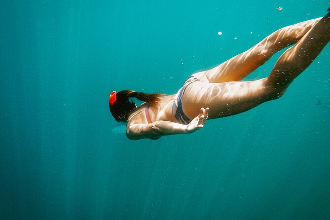 Los Cabos Seasonal Whale Watch and Snorkel Tour - Sailing past Cabo’s Arch