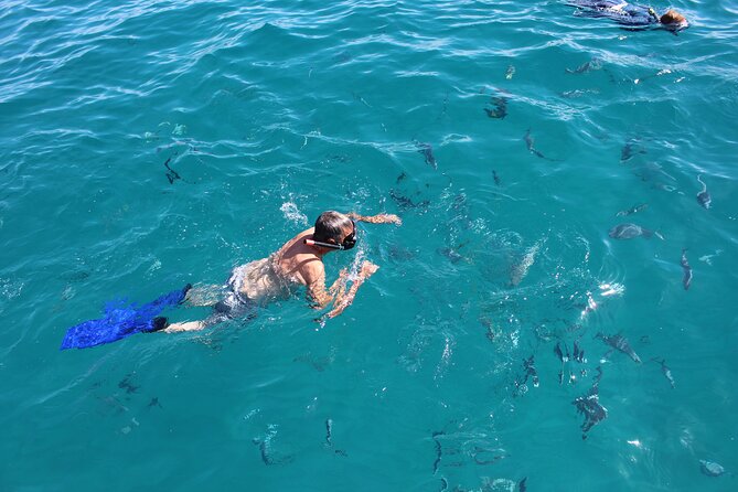 Los Cabos Snorkel & Pirate Ship Fun Adventure with Lunch - Transportation, timing, and what the $99 price means