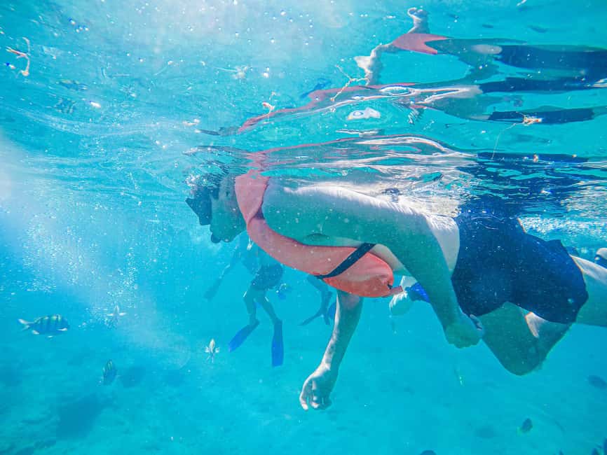 Los Cabos: Snorkeling Cruise with Lunch - Chileno Bay gives you a short but useful snorkel stop