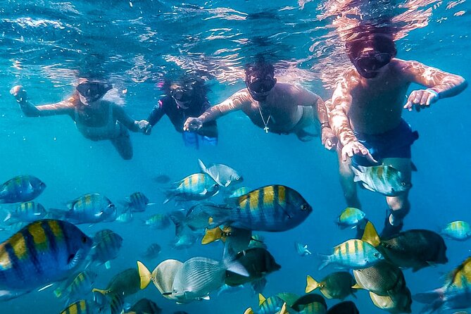 Los Cabos Snorkeling Tour by Speed Boat with Photos Included - What makes this Cabo boat trip worth considering