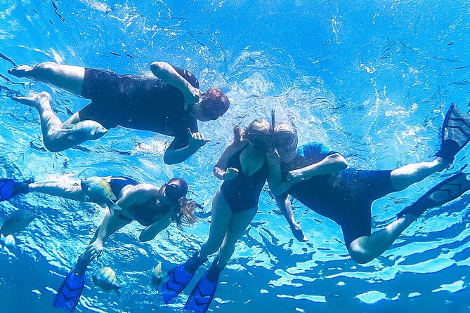 Los Cabos Snorkeling Tour by Speed Boat with Photos Included - Why the included photos matter