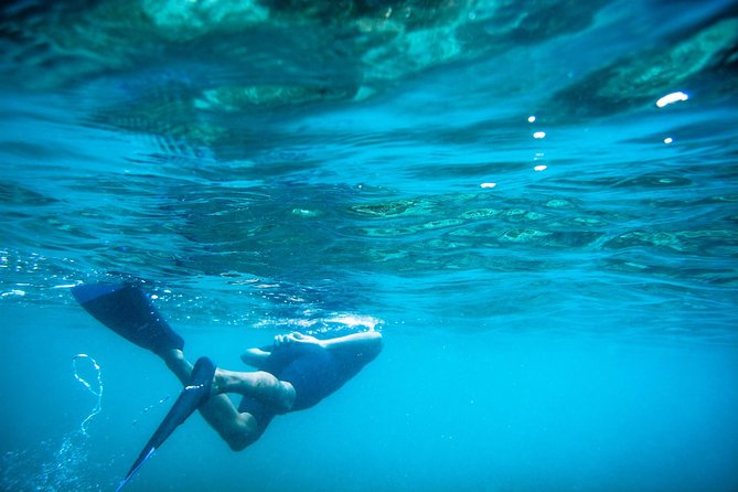 Los Cabos Snorkeling Tour to Chileno Bay and Santa Maria Cove - Two calm bays, one straightforward Cabo outing