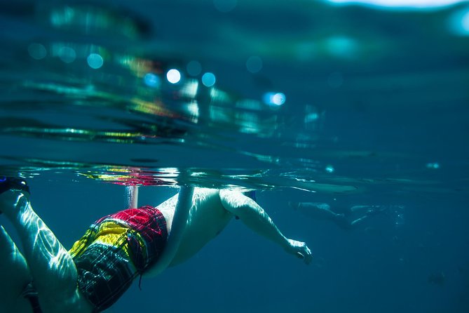Los Cabos Snorkeling Tour to Chileno Bay and Santa Maria Cove - What your guide actually adds
