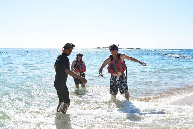 Los Cabos Snorkeling Tour to Chileno Bay and Santa Maria Cove - Transport from Cabo hotels and the marina