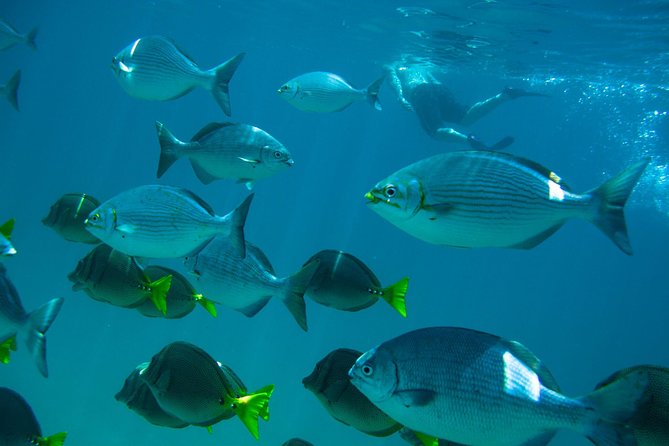 Los Cabos Snorkeling Tour to Chileno Bay and Santa Maria Cove - Santa Maria Cove: the stronger first stop