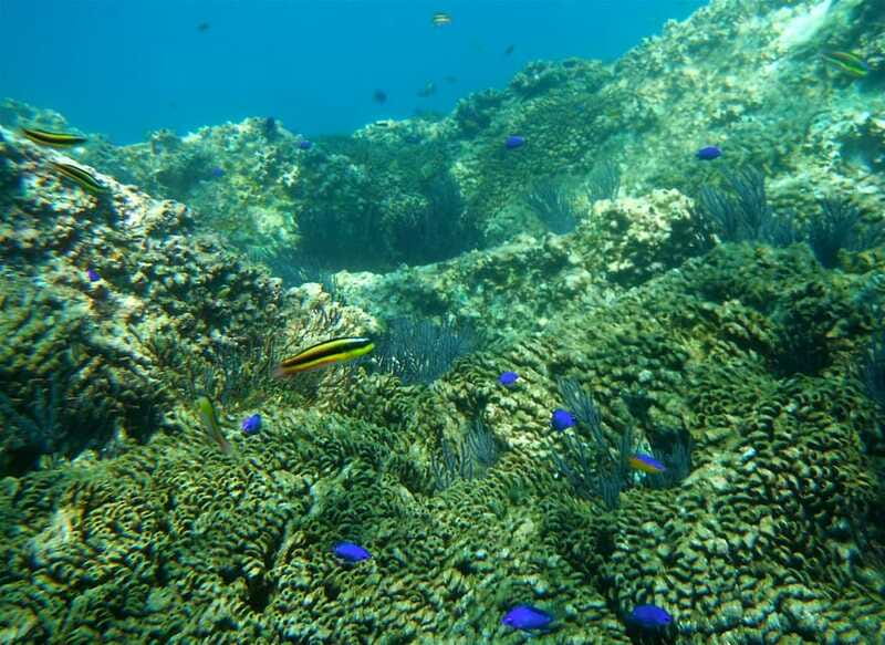 Los Cabos: The Arch and Lover's Beach Kayaking + Snorkeling - Who will enjoy this tour most