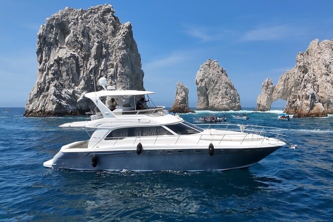 Los Cabos Whale Watching & Snorkel Adventure with Food & Drinks - Snorkeling, paddleboarding, and floating in the water