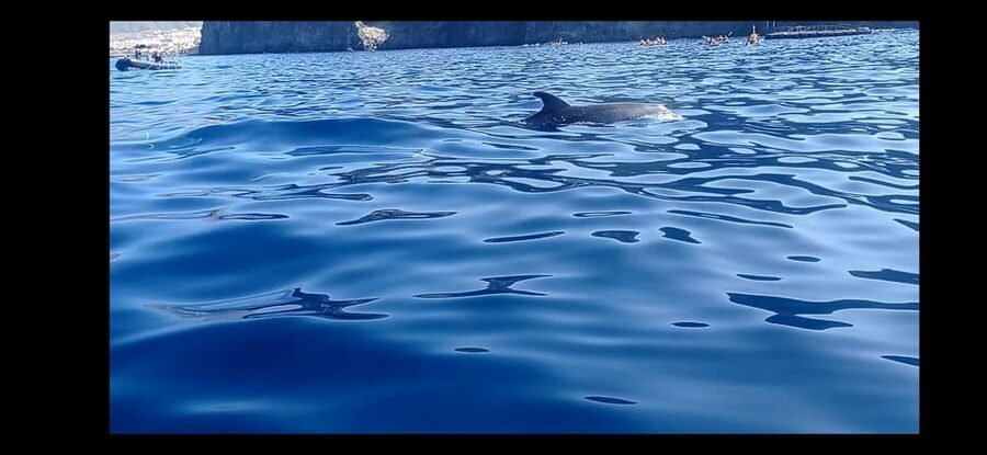 Los Cristianos: Kayak & Snorkel Tour with turtles and photos included - The first paddle from Los Cristianos