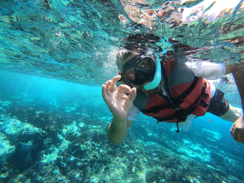 Los Cristianos: Kayaking and Snorkeling with Marine Wildlife - Transport, timing, and the setup delay