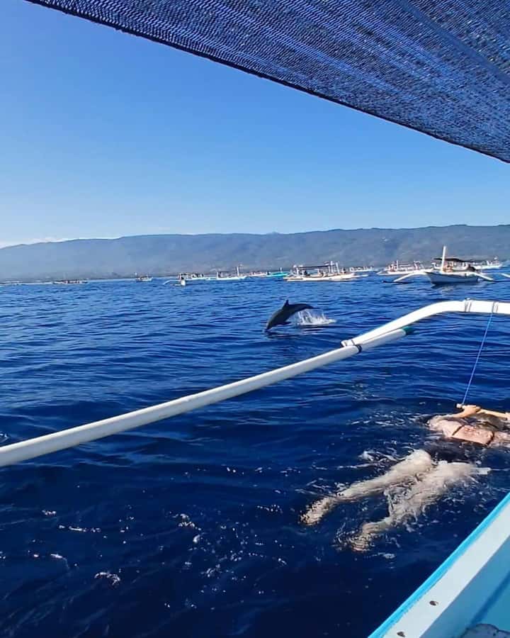 Lovina : SPECIAL FULL TRIP dolphin watch, swim, and snorkel - Lovina at sunrise: the reason to set an early alarm