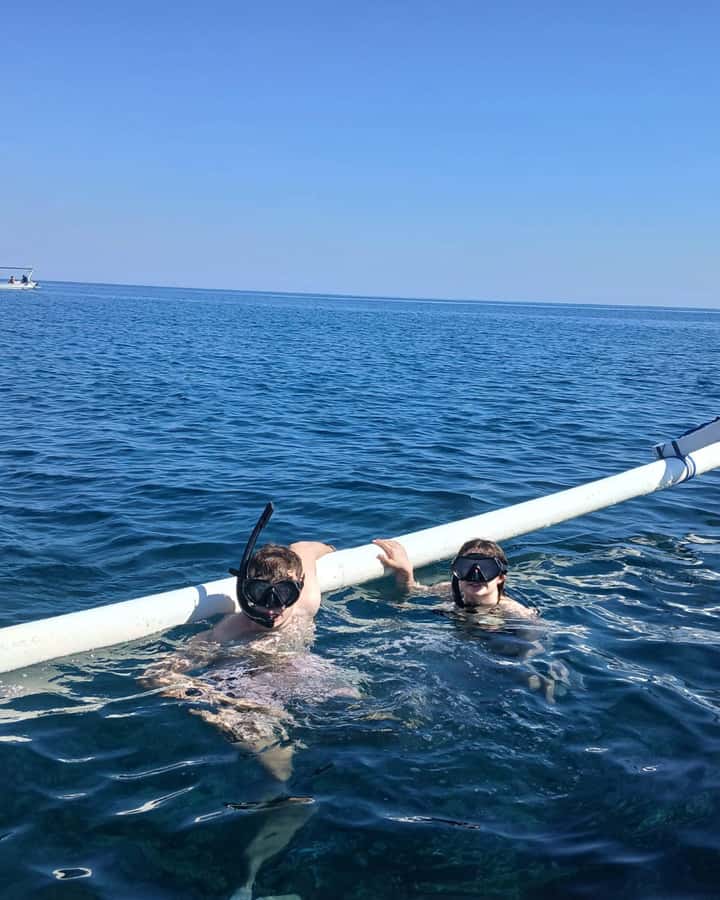 Lovina : SPECIAL FULL TRIP dolphin watch, swim, and snorkel - Dolphin watching, with an honest look at the ethics