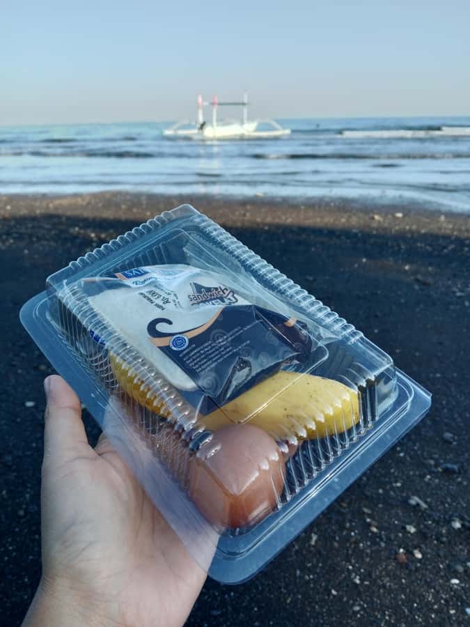Lovina : SPECIAL FULL TRIP dolphin watch, swim, and snorkel - Cost and what you get for $28