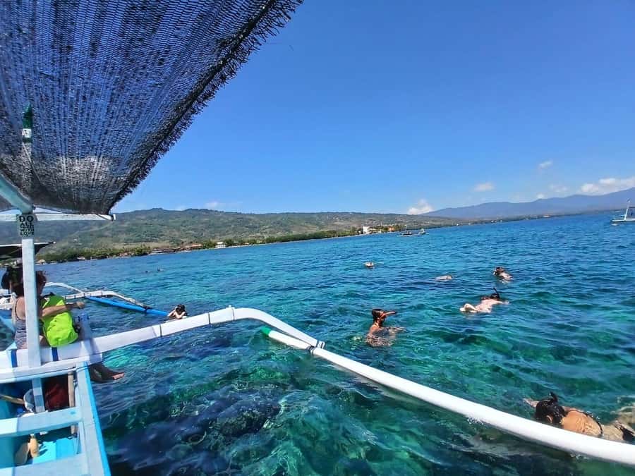 Lovina : SPECIAL FULL TRIP dolphin watch, swim, and snorkel - Who will enjoy this trip most