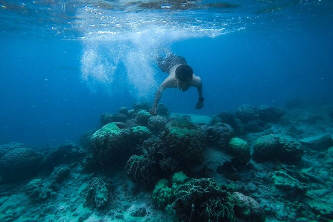 Luxury Cruise inc. Snorkeling/Massage/Island/water sport & Lunch - Snorkeling at two Red Sea stops