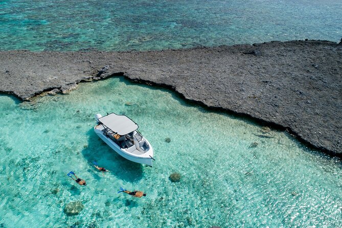 Luxury Full Day Snorkeling - What the Reviews Tell You About the Best Days