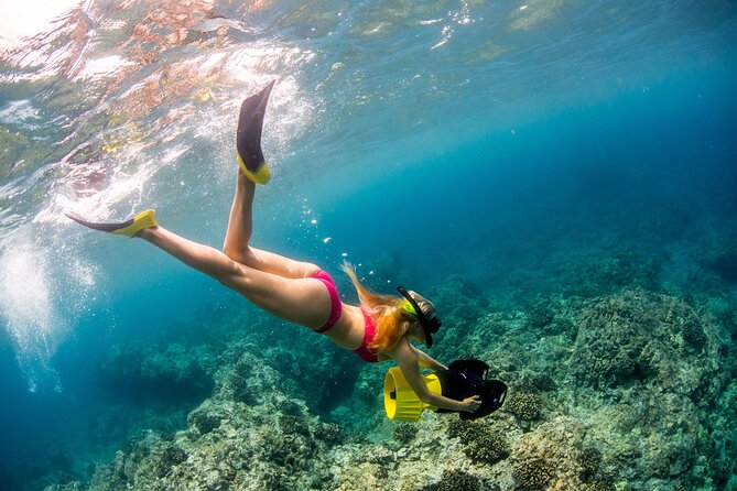 Luxury Kona Coast Snorkel Tour Including Lunch - What you can see from the boat