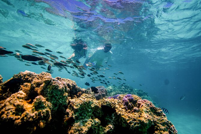LUXURY PRIVATE Catamaran Bora Bora : Half-Day Trip - Weather, comfort, and what to bring