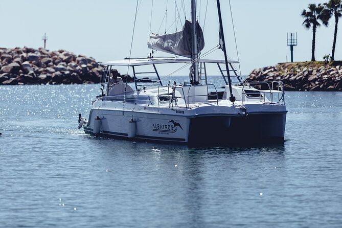 Luxury Snorkel Adventure in Cabo - A strong service record, with a few limits