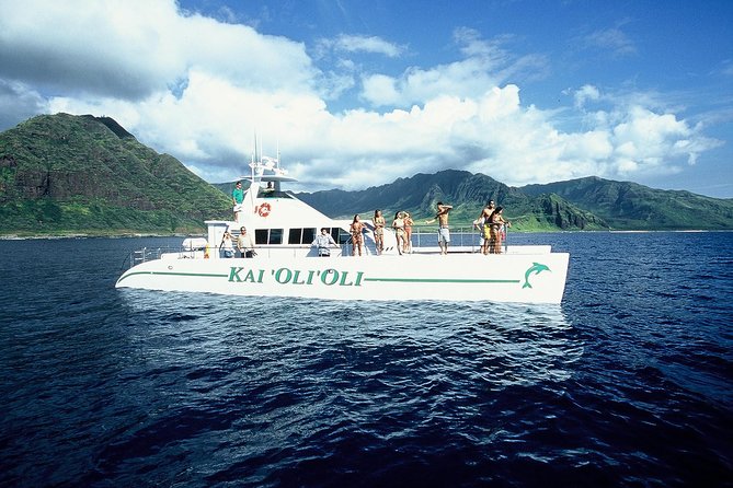 Luxury Snorkel Cruise, Local Buffet with Whale & Dolphin Watch - Watching for dolphins, whales, turtles, and flying fish