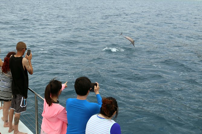 Luxury Snorkel Cruise, Local Buffet with Whale & Dolphin Watch - Six warm showers and a comfortable return to the boat