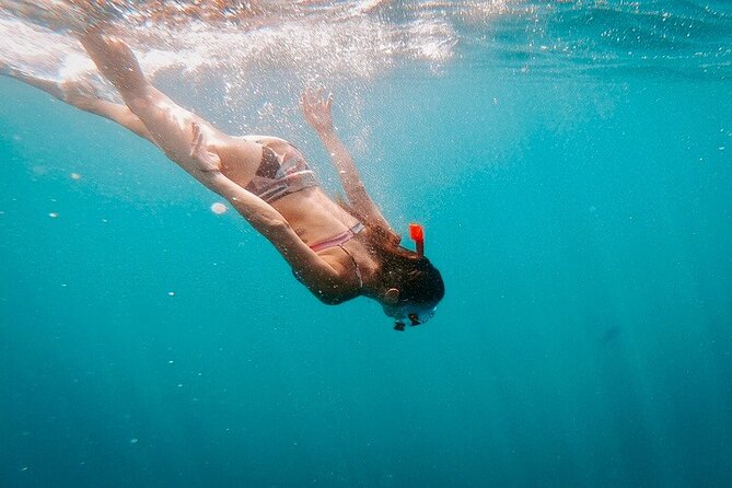 Luxury Snorkeling Tour in Cabo San Lucas - Practical details for a smoother day