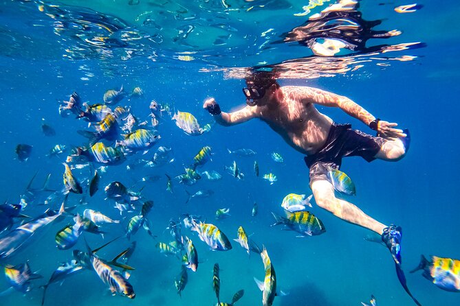 Luxury Yacht & Snorkel with All inclusive Open bar and lunch - Is $119 a fair price?