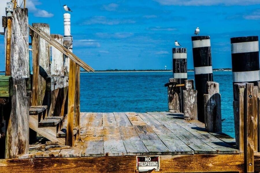 Madeira Beach: Egmont Key Snorkeling and Dolphin Cruise - Who should book this Madeira Beach cruise?
