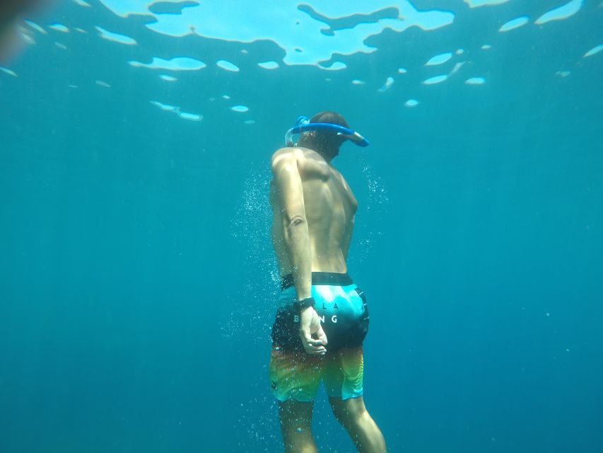 Madeira: Garajau Nature Reserve Kayak and Snorkel Tour - Why the Garajau reserve makes this tour worthwhile