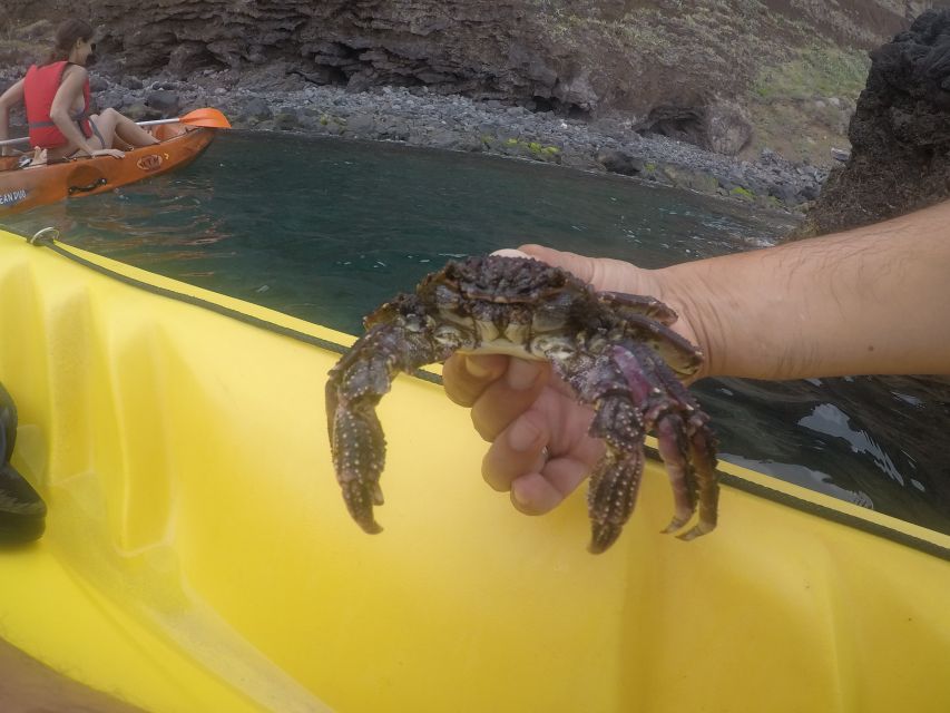 Madeira: Garajau Nature Reserve Kayak and Snorkel Tour - What happens if the sea is rough