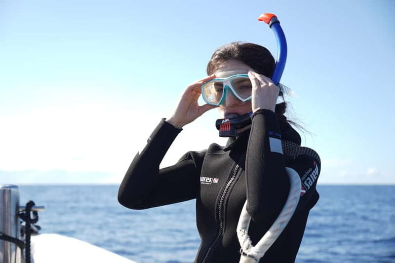 Madeira: Ponta de São Lourenço Snorkeling Boat Trip - Is $41 good value?