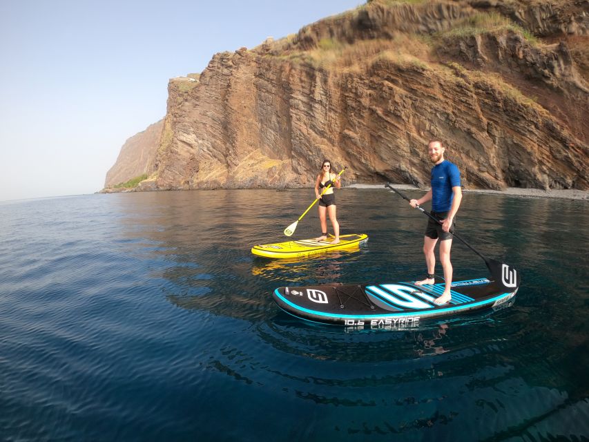 Madeira: Private Paddleboard & Snorkel - Snorkeling for a closer look at sea life