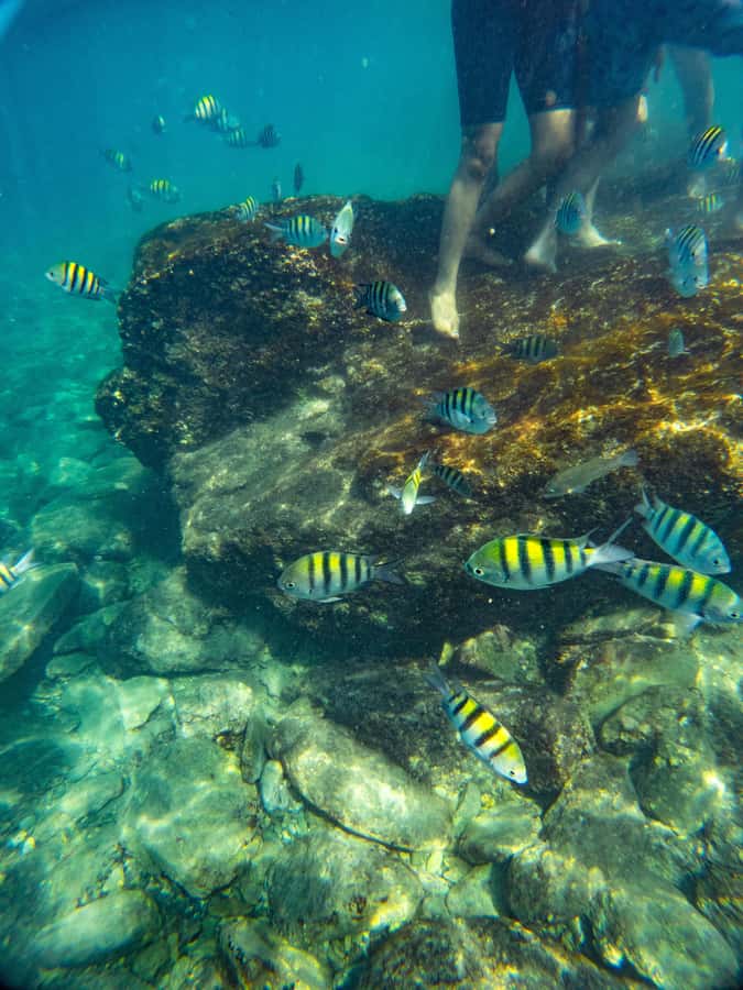 Magdalena: Tayrona Park Cruise with Snorkeling & Beaches - Concha Bay, the Main Beach Break