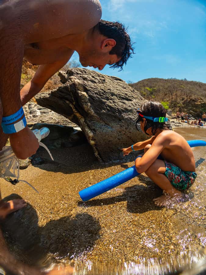 Magdalena: Tayrona Park Cruise with Snorkeling & Beaches - Granate and the Chance to See Turtles